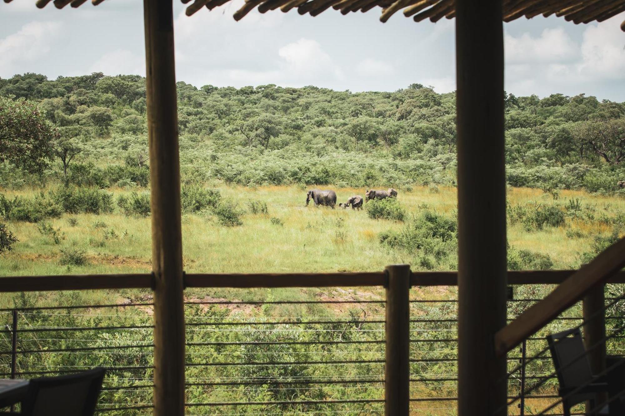 Mdluli Safari Lodge Hazyview Eksteriør bilde